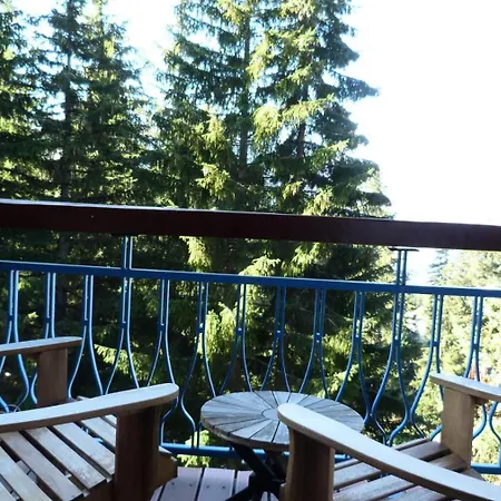 Apartment Archeboc - Tres Beau Duplex Entierement Renove Pour 4 Personnes Dans Le Village De Charmettoger, Proche Des Pistes Mae-2116 Les Arcs (Savoie)
